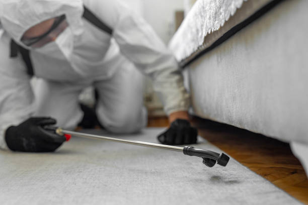 Professional Cockroach Control technician working in La Croft, OH