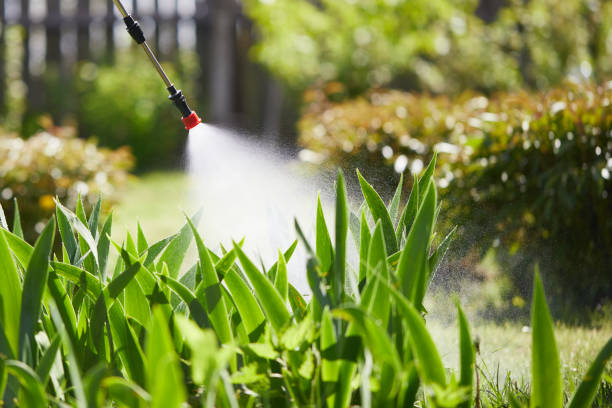 24/7 Emergency Cockroach Control experts in La Croft, OH